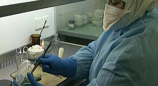 Болезнь, симптомов которой лучше не знать Болезнь, симптомов которой лучше не знать