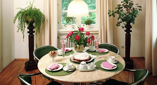 Выбор комнатных цветов: красота и здоровая атмосфера вашего жилища