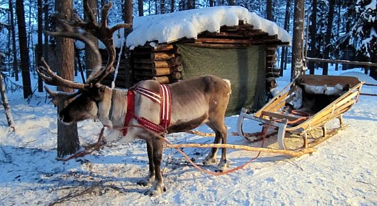 Увлекательный отдых в Финляндии Увлекательный отдых в Финляндии