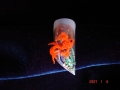 nails-art-62